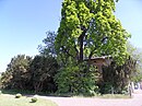 Orangerie, im Schlosspark