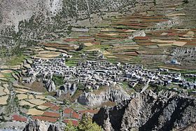 Manang