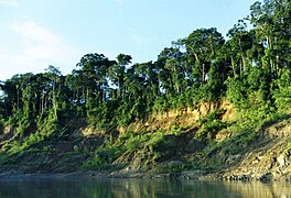 Parque Nacional del Manú.