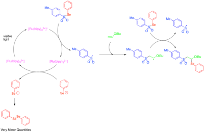 Addition of Tosylphenylselenide across an olefin