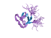 2dmo: Refined solution structure of the 1st SH3 domain from human Neutrophil cytosol factor 2 (NCF-2)