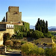 Château d'Henri II de Castille