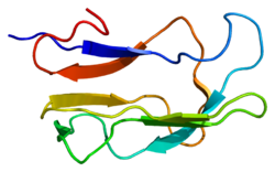 Dihydrolipoyl-Transacylase