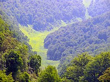 تصویر جنگل در نزدیکی منطقه نمک آبرود در ایران