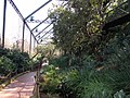 Inside the aviary