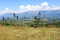 Suva planina viđena iz Stupnice.