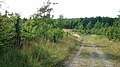 View across the southern parts of True Skov.