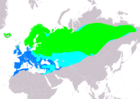 Aire de répartition de la Grive mauvis