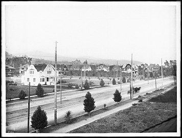 From a rooftop at Dale Street (or Orange Street?), c. 1905