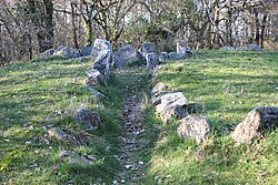 Image illustrative de l’article Dolmen de Mané-Bogad