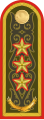 Генерал-Полҝвниҝ General-polkovnïk (Kazakh Ground Forces)[11]