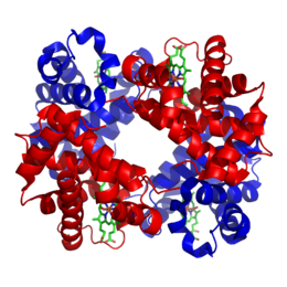 Description de l'image 1GZX Haemoglobin.png.