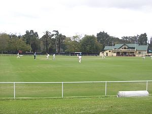 Albert Cricket Ground in 2014