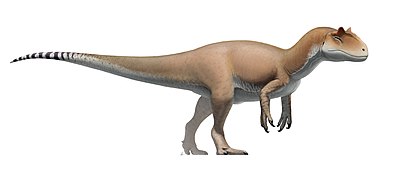 Allosaurus