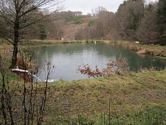 Südlichster Teich des Angelparadies Steinbachtal