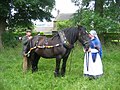 Boathorse Queenie with driver