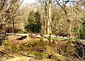 Image 76 Credit: C Hoyle Brockhill Country Park is dominated by a large grassy valley, bisected by the Brockhill Stream as it makes its way to the Royal Military Canal at Hythe. More about Brockhill Country Park... (from Portal:Kent/Selected pictures)