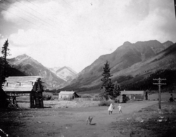 Two children and a dog in Capitol City (Galena City), Colorado, circa 1880-1900.