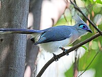 At San Diego Zoo