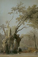 شجرة العائلة المقدسة في المطرية، القاهرة (من لوحات روبرتس)