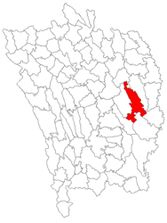 Location in Vaslui County