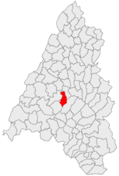 Location in Bihor County