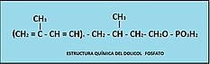 ESTRUCTURA DOLICOL FOSFATO