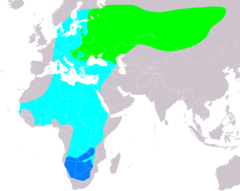 Mapa występowania