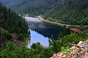 Forêts de conifères sombres près du lac Amout.