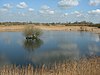 Woodwalton Fen