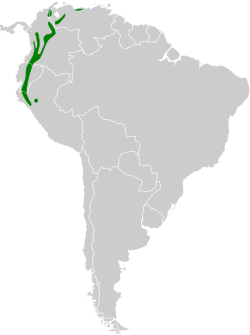 Distribución geográfica del tororoí compadre.