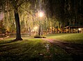 Walking path through willows in Hagerstown City Park.