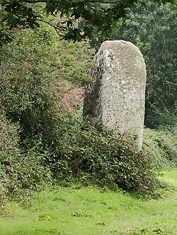 Image illustrative de l’article Longue Pierre (Saint-Pierre-Église)