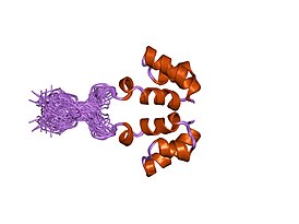 Структура N-концевого цинк-связывающего домена интегразы вируса hiv-1