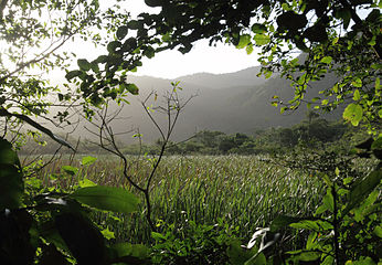 Marais sur les terres du village