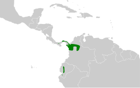 Distribución geográfica del ticotico aligrís.