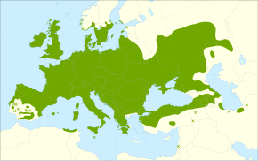 Description de l'image Prunus spinosa range.svg.