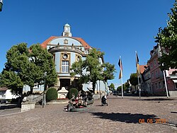 Town hall and musicians' fountain in Donaueschingen