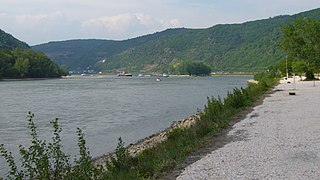 Wildes Gefähr(t), links Bacharacher, rechts Kauber Werth