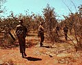 Image 41Members of 44 Parachute Brigade on patrol during the South African Border War. (from History of South Africa)