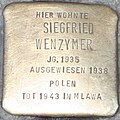 Siegfried Wenzymer