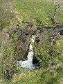 The start of Tairlaw Linn, the first of a set of waterfalls on the Water of Girvan close to Tairlaw Farm