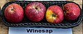 Winesap