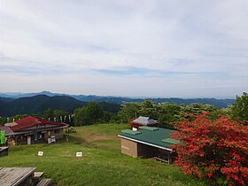 陣馬山のヤマツツジ