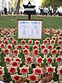 Tokens of remembrance in the plot for the Association of Jewish Ex-Servicemen and Women (AJEX), at the Field of Remembrance at Westminster