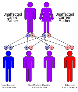 Pattern of inheritance of autosomal recessive genes at Dominance (genetics), by Cburnett
