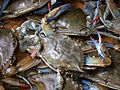 Image 6Blue crabs (from Culture of Baltimore)