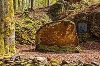 Hartig-Buche Dillenburg