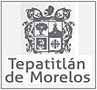 Brasão de armas de Tepatitlán de Morelos