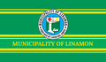 Flag of Linamon